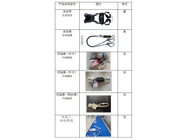 project case
