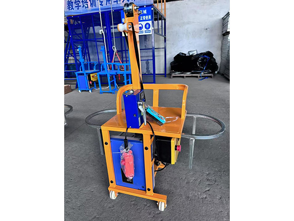 project case